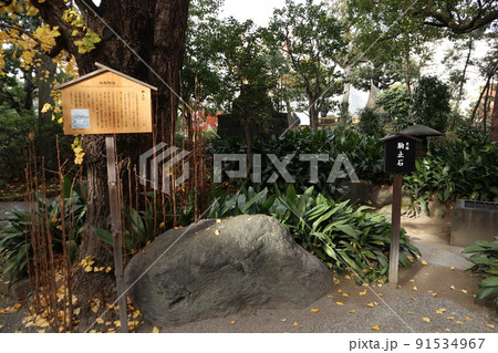 旧安田庭園 旧安田庭園 91534967
