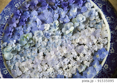 癒しの花手水 91535095