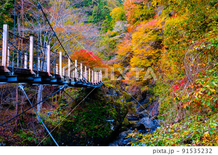 大柳川渓谷（秋） 91535232