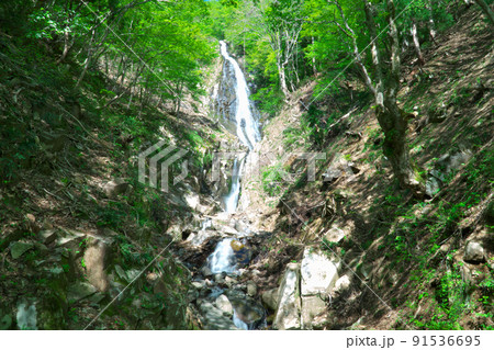 氷ノ山越えの途中にある布滝2 兵庫県養父市 氷ノ山越えの途中にある布滝2 兵庫県養父市 91536695