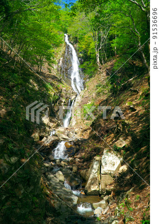 氷ノ山越えの途中にある布滝3　兵庫県養父市 91536696