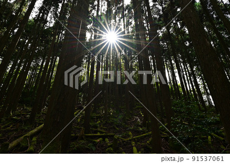 多紀連山より 多紀連山より 91537061