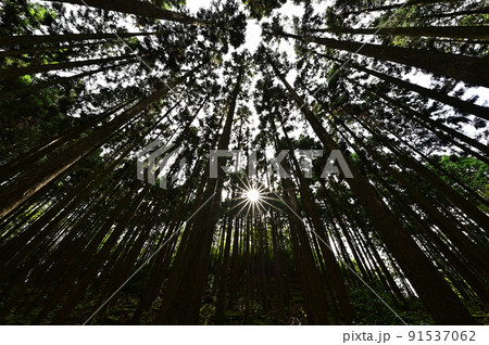 多紀連山より 多紀連山より 91537062