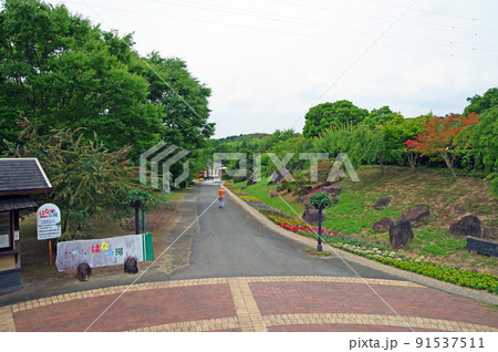 福岡県直方市にある四季折々の花が楽しめる福智山ろく花公園 福岡県直方市にある四季折々の花が楽しめる福智山ろく花公園 91537511
