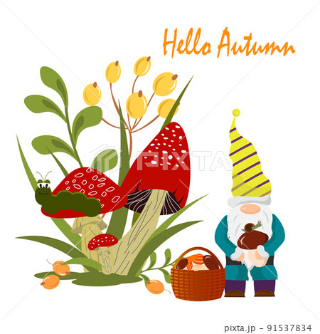 Postcard template with little gnome, basket and mushrooms. Autumn illustration. Vector illustration isolated on white background. For use in packaging, prints, for kids, shops, postcards and invitatio Postcard template with little gnome, basket and mushrooms. Autumn illustration. Vector illustration isolated on white background. For use in packaging, prints, for kids, shops, postcards and invitatio 91537834
