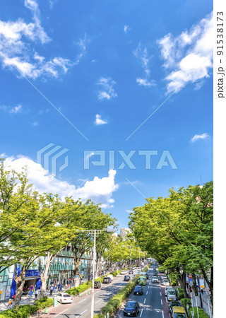 東京渋谷の都市風景　表参道 91538173