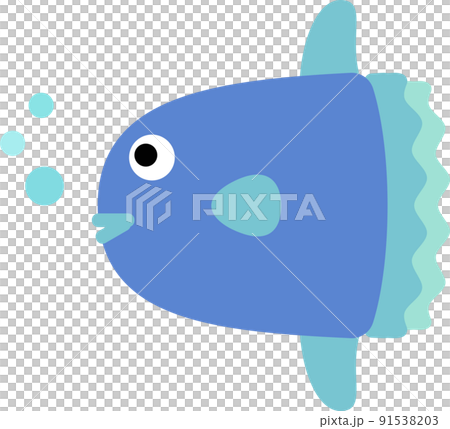 翻車魚 91538203