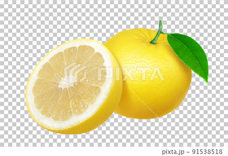 Grapefruit illustration real set 91538518