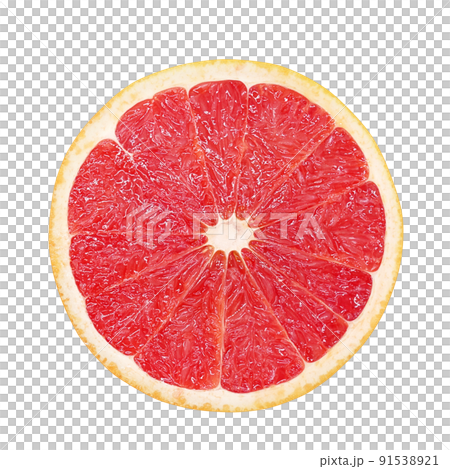 Pink grapefruit illustration real Pink grapefruit illustration real 91538921