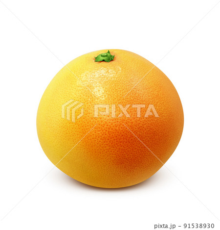 ピンクグレープフルーツ イラスト リアルのイラスト素材