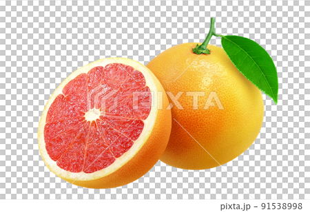 ピンクグレープフルーツ イラスト リアル セット ピンクグレープフルーツ イラスト リアル セット 91538998