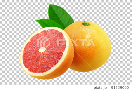 Pink grapefruit illustration real set Pink grapefruit illustration real set 91539000