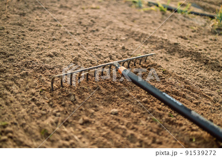 Close up of an new metal garden rake cleaning earth at spring time. Seasonal work 91539272