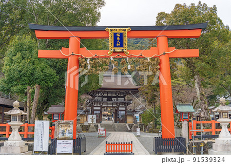 京都 松尾大社 参道風景 91539324