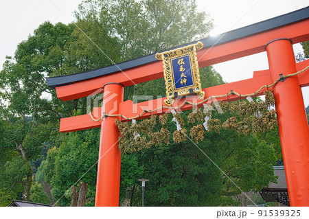 京都 松尾大社 参道風景 91539325