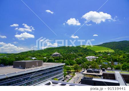梅雨明けの爽やかな若草山 91539441