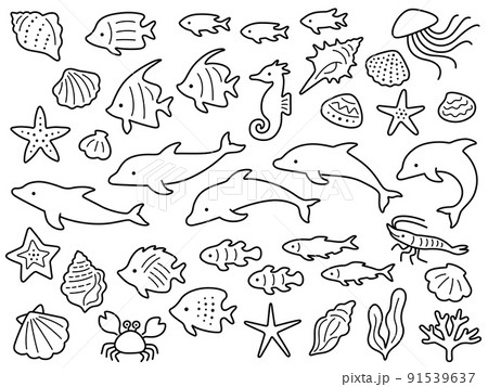 イルカと海の生き物の線画イラストセット 91539637