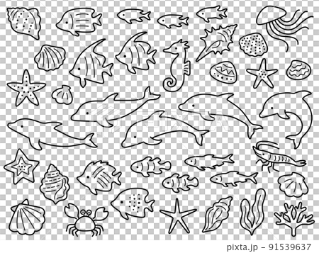 イルカと海の生き物の線画イラストセット 91539637