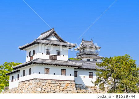 愛媛県今治市　日本100名城　晴天の今治城 91539744