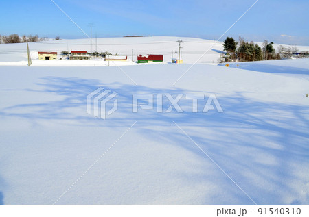雪晴れの里山 91540310