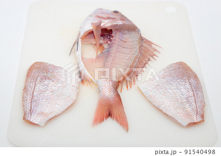 三枚におろした天然真鯛 91540498