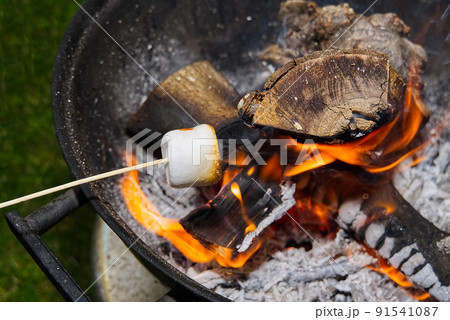 cooking marshmallow on wooden stick over fire. 91541087