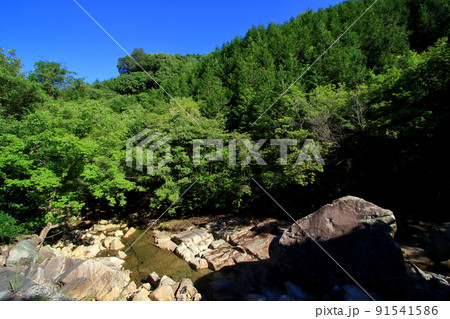 青い空と緑の木々のコントラストが美しい 夏の野呂川 青い空と緑の木々のコントラストが美しい 夏の野呂川 91541586