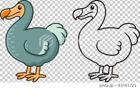 Cartoon dodo bird drawing 91541721