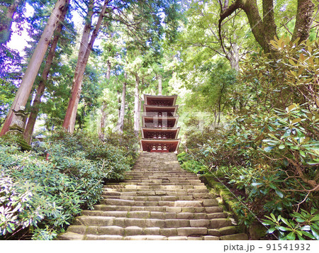 室生寺の五重塔 91541932