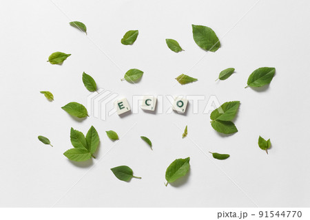Eco formed of scrabble tiles with tree leaves. 91544770