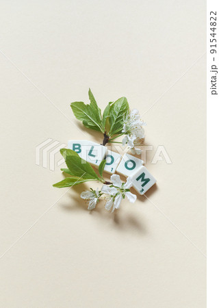 Spring bloom and scrabble blocks on beige background. 91544822