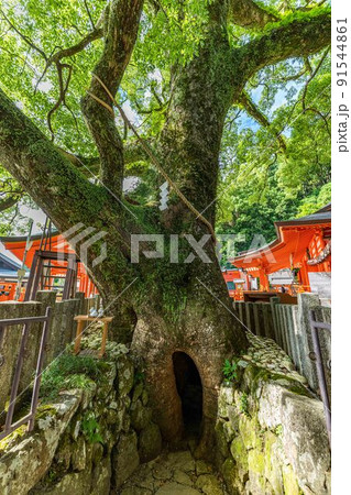 那智大社の胎内くぐり 那智大社の胎内くぐり 91544861