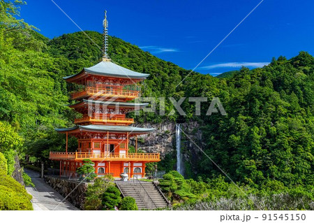 那智　青岸渡寺　三重塔と那智の滝 91545150