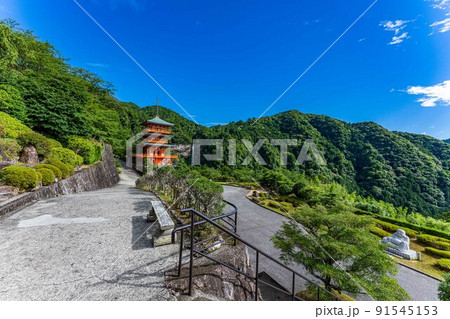 那智　青岸渡寺　三重塔と那智の滝 91545153