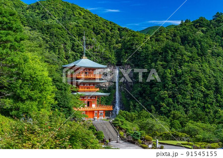 那智 青岸渡寺 三重塔と那智の滝 那智 青岸渡寺 三重塔と那智の滝 91545155