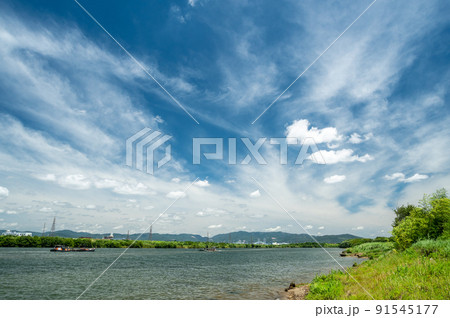 夏の淀川 夏の淀川 91545177