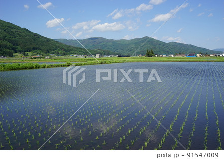 SLも走る銀河ドリームライン釜石線 91547009