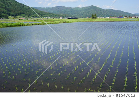 SLも走る銀河ドリームライン釜石線 91547012