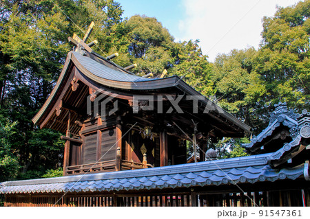 近津尾神社 近津尾神社 91547361