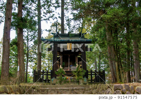 紫香楽宮跡 91547575