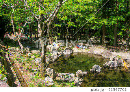 永源寺グリーンランド 永源寺グリーンランド 91547701