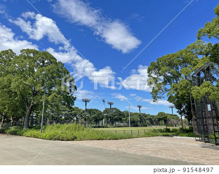 大井ふ頭中央海浜公園スポーツの森 東京都品川区八潮 大井ふ頭中央海浜公園スポーツの森 東京都品川区八潮 91548497