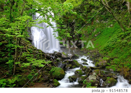 小野川不動滝 91548578