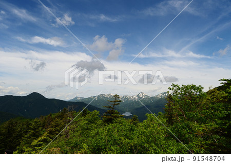 黒姫山しらたま平から眺めた初夏の雨飾山焼山火打山乙見湖 91548704