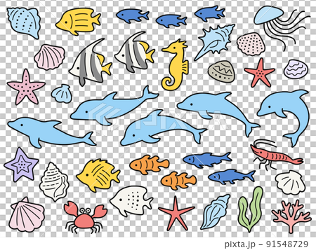 海豚和各種海洋生物的插圖集 海豚和各種海洋生物的插圖集 91548729