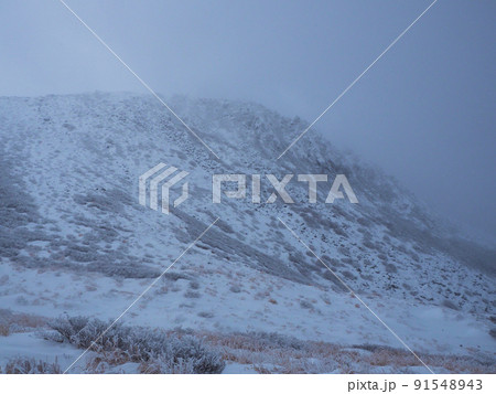 吹雪の中のくじゅう登山道 大分県玖珠郡九重町田野 吹雪の中のくじゅう登山道 大分県玖珠郡九重町田野 91548943