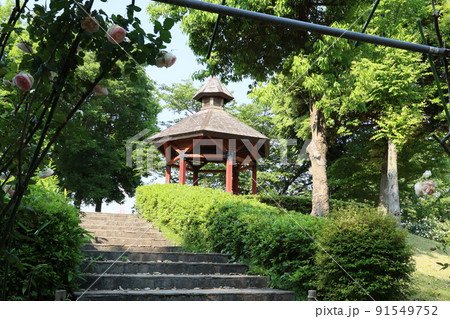 埼玉県比企郡川島町の川島平成の森公園の風景 埼玉県比企郡川島町の川島平成の森公園の風景 91549752