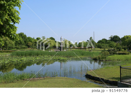 埼玉県比企郡川島町の川島平成の森公園の風景 91549776