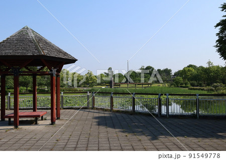 埼玉県比企郡川島町の川島平成の森公園の風景 91549778