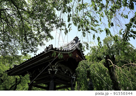 池田山山麓散策（阿梨山弓削寺）・165（岐阜県揖斐郡池田町） 91550344